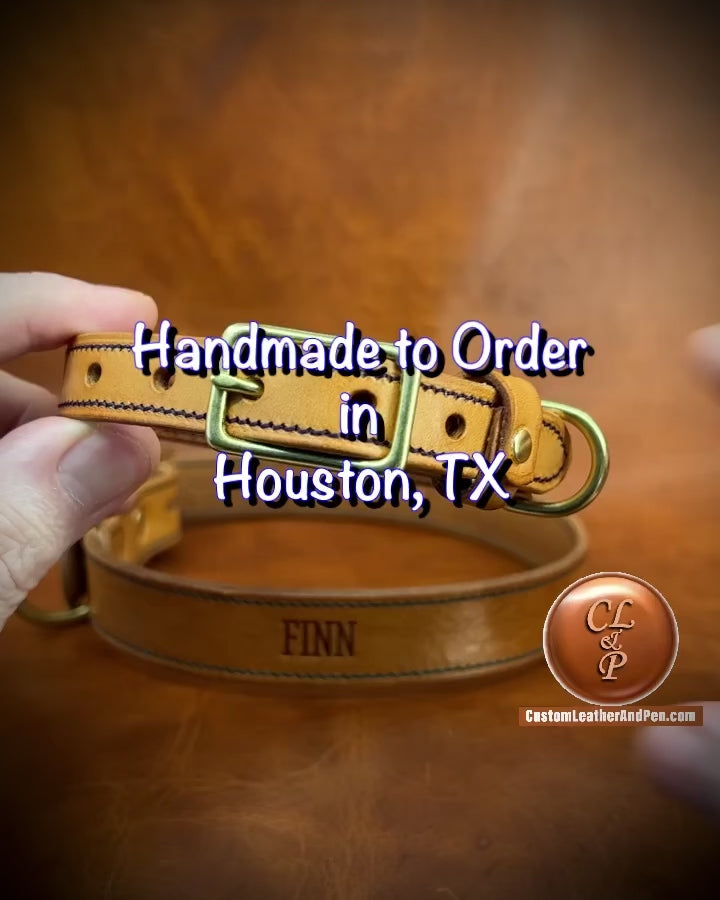 Houston Dog Collar 