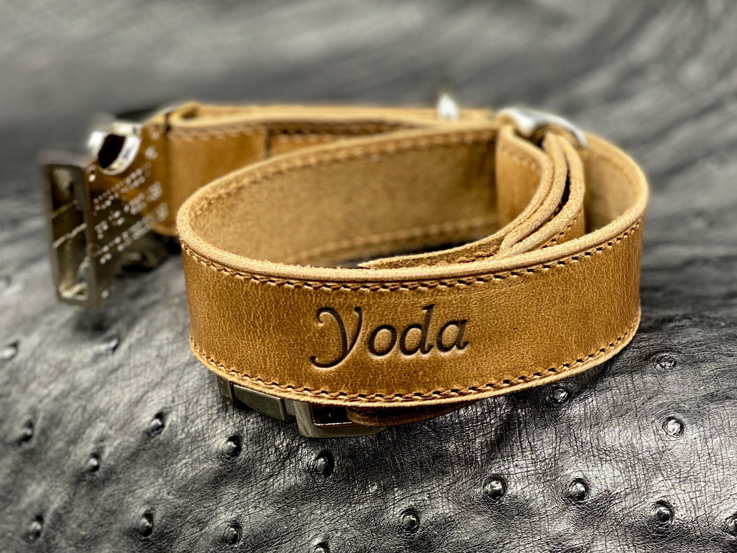 Handmade, Custom Dog Collars in Natural CXL Horween Leather | made in Houston, TX by Custom Leather and Pen